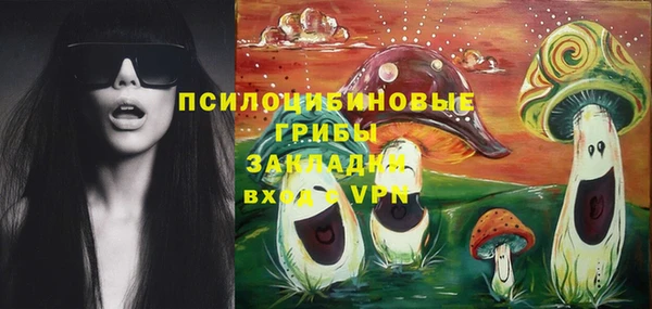метадон Алексин