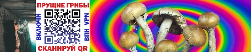 Купить закладки  Рудня  Псилоцибиновые грибы Psilocybine cubensis 